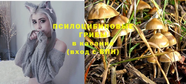 МДПВ Аркадак